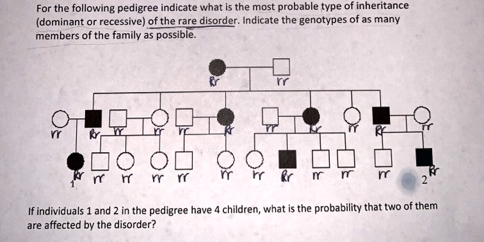 Solved: For The Following Pedigree Indicate What Is The Most Probable 