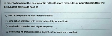 in order to bombard the postsynaptic cell with more molecules of neurotransmitter the presynaptic cell would have to send action potentials with shorter durations send action potentials with 30262