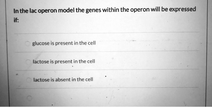 In the lac operon model the genes within the operon will be expressed
if:
glucose is present in the cell
lactose is present in the cell
lactose is absent in the cell