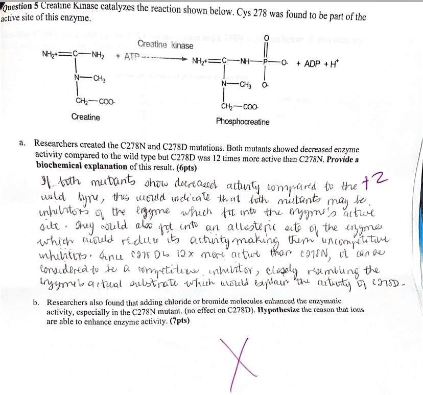Question 5 Creatine Kinase catalyzes the reaction shown below. Cys 278 ...
