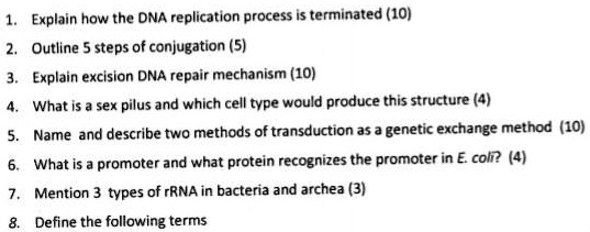 SOLVED: Explain how the DNA replication process iterminated (10 ...