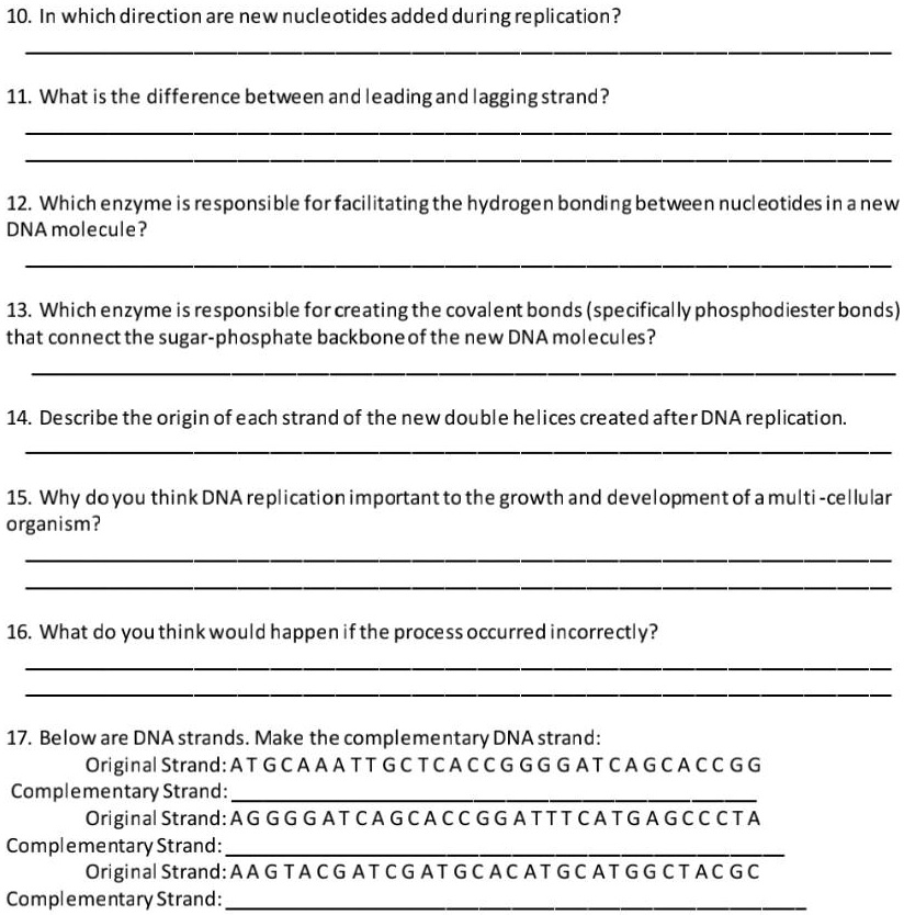 SOLVED: 10. In which direction are new nucleotides added during ...