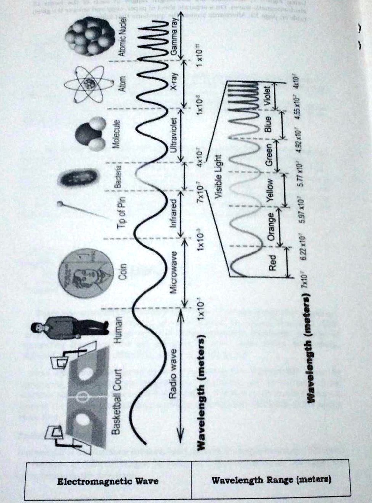 SOLVED 'Using Figure 1, determine the wavelength ranges of each of the