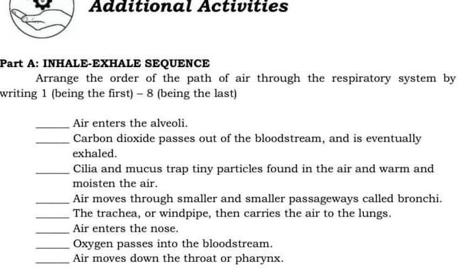 Additional Activities Part A: INHALE-EXHALE SEQUENCE Arrange the order ...