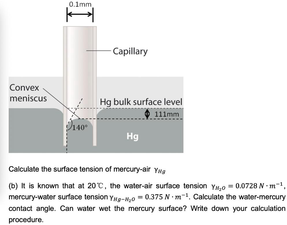 SOLVED O.lmm Capillary Convex meniscus Hg bulk surface level lllmm