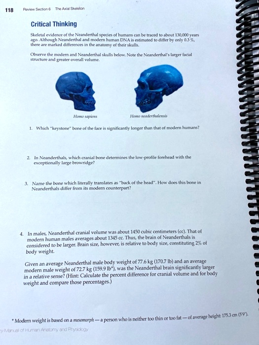 VIDEO solution: Review Section 6: The Axial Skeleton Critical Thinking