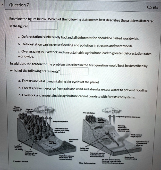 SOLVED: Examine the figure below. Which of the following statements ...