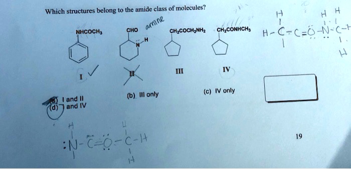 Which structures belong to the amide class of molecules...