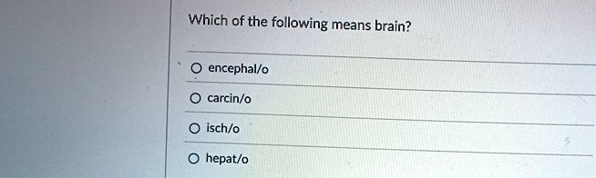 Which of the following means brain?
O encephal/o
O carcin/o
O isch/o
O hepat/o