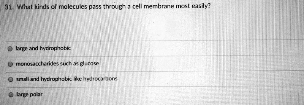 31. What kinds of molecules pass through a cell membrane most easily?

large and hydrophobic

monosaccharides such as glucose

small and hydrophobic like hydrocarbons

large polar