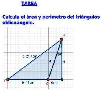 SOLVED: calcula el area y perimetro del triangulo oblicuangulos IAREA ...