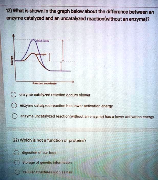 SOLVED 12) What is shown in the graph below about the difference