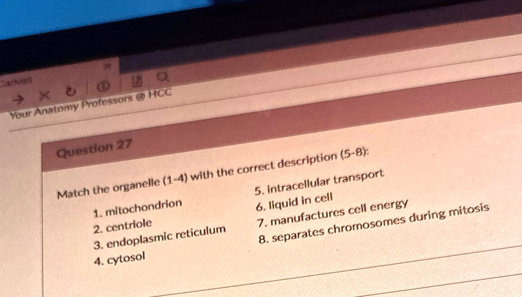 Canvas Your Anatomy Professors @HCC Question 27 Match the organelle (1