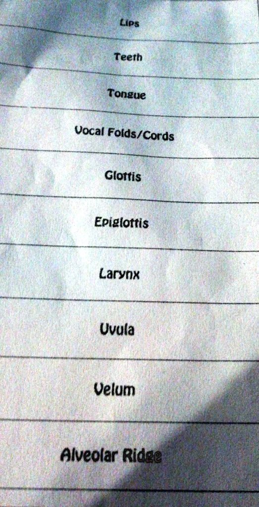 SOLVED Parts and function of the speech organs. What is the purpose