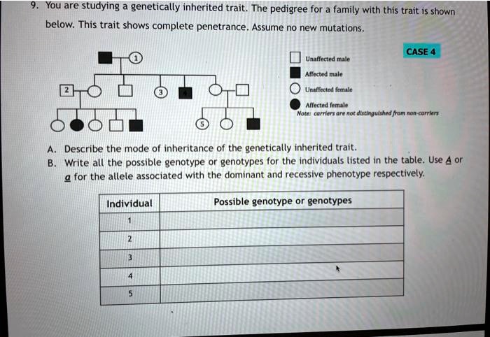 you are studying genetically inherited trait the pedigree for family ...