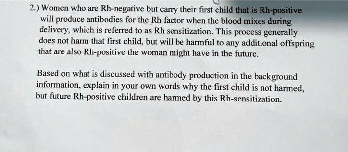 2.) Women who are Rh-negative but carry their first child that is Rh-positive will produce antibodies for the Rh factor when the blood mixes during delivery, which is referred to as Rh sensitization. This process generally does not harm that first child, but will be harmful to any additional offspring that are also Rh-positive the woman might have in the future.

Based on what is discussed with antibody production in the background information, explain in your own words why the first child is not harmed, but future Rh-positive children are harmed by this Rh-sensitization.