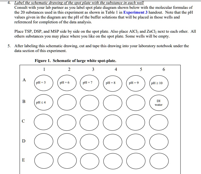SOLVED Text Label the schematic drawing of the spot plate with the