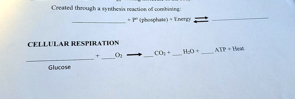 Created through a synthesis reaction of combining:

 + P° (phosphate) + Energy ? 

CELLULAR RESPIRATION

 +  O2 ?  CO2 +  H2O +  ATP + Heat
Glucose