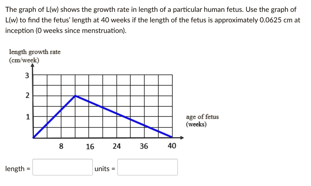 SOLVED:The graph of L(w) shows the growth rate in length of a ...