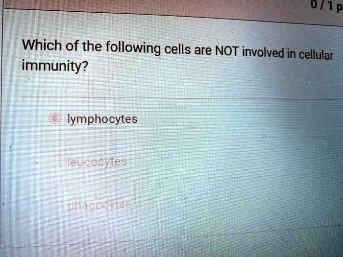 Which of the following cells are NOT involved in cellular immunity?
lymphocytes
leucocytes
phagocytes