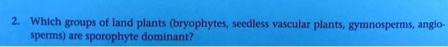Which groups of land plants (bryophytes, seedless vascular plants, gymnosperms, angiosperms) are sporophyte dominant?