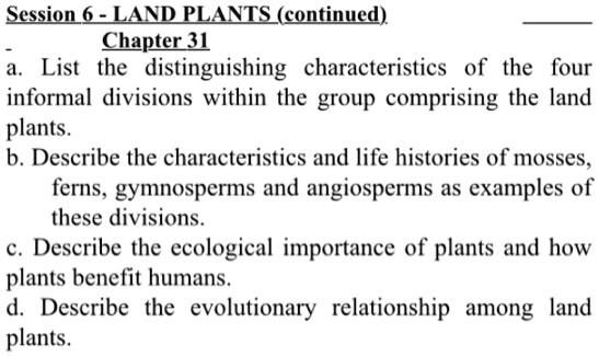 Solved Session 6 Land Plants Continued Chapter 31 List The Distinguishing Characteristics Of The Four Informal Divisions Within The Group Comprising The Land Plants B Describe The Characteristics And Life Histories Of Mosses Ferns