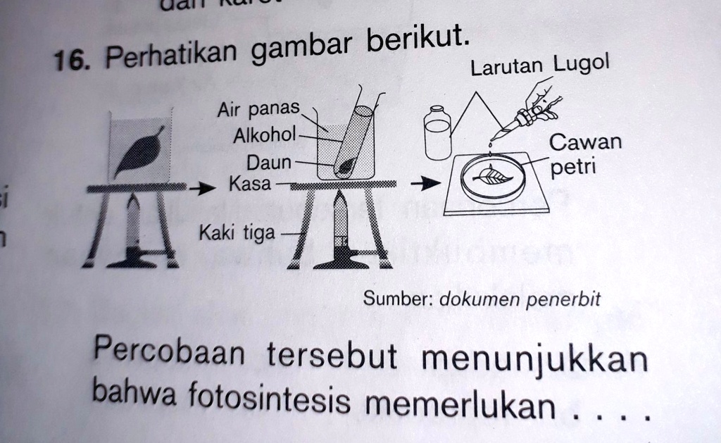 SOLVED: Biologi Lagi Ada Pr Nihh,mohon BantuannyaPilihannya : A.Co2 B ...