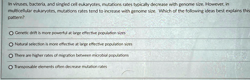 In viruses, bacteria, and singled cell eukaryotes, mutations rates typically decrease with genome size. However, in
multicellular eukaryotes, mutations rates tend to increase with genome size. Which of the following ideas best explains this
pattern?
Genetic drift is more powerful at large effective population sizes
Natural selection is more effective at large effective population sizes
There are higher rates of migration between microbial populations
Transposable elements often decrease mutation rates