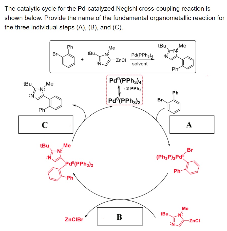 SOLVED:The Catalytic Cycle For The Pd-catalyzed Negishi Cross-coupling ...