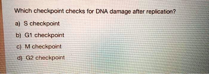 Which checkpoint checks for DNA damage after replication? S checkpoint ... Biology Diagrams