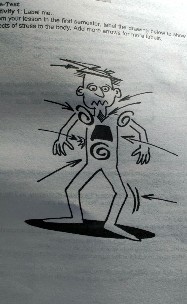 Activity 1: Label me...
From your lesson in the first semester, label the drawing below to show
effects of stress to the body. Add more arrows for more labels.