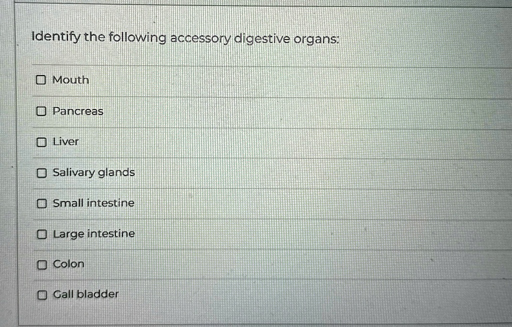 Which Of The Following Is An Accessory Digestive Organ Identify the following accessory digestive organs: Mouth ☐ Pancreas
