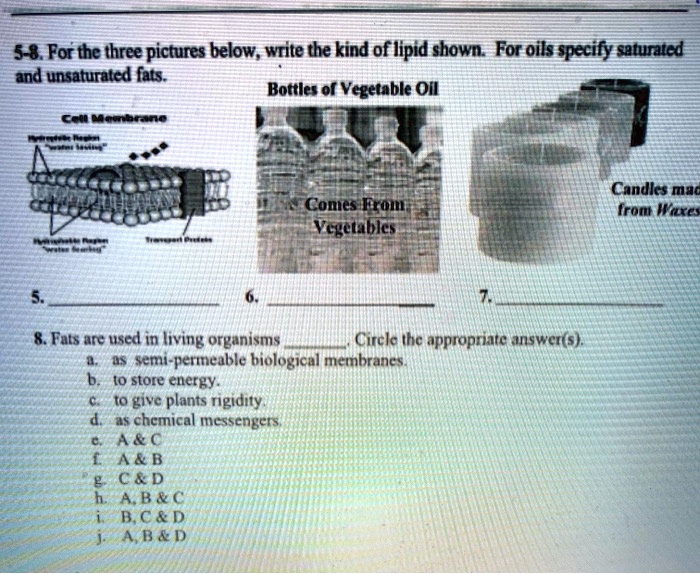 58. For the three pictures below, write the kind of lipid shown. For
