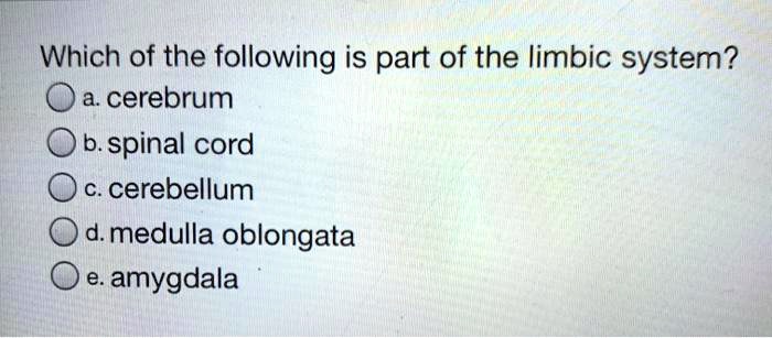 SOLVED: Which Of The Following Is Part Of The Limbic System? A ...