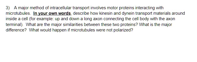 3) A major method of intracellular transport involves motor proteins interacting with microtubules. In your own words, describe how kinesin and dynein transport materials around inside a cell (for example: up and down a long axon connecting the cell body with the axon terminal). What are the major similarities between these two proteins? What is the major difference? What would happen if microtubules were not polarized?