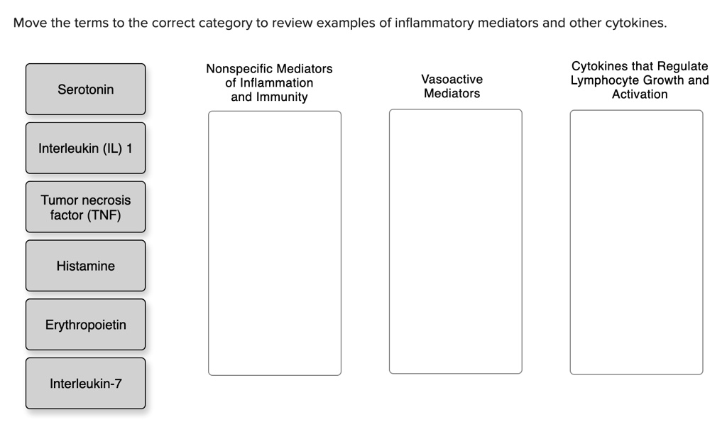 SOLVED: Move the terms to the correct category to review examples of ...