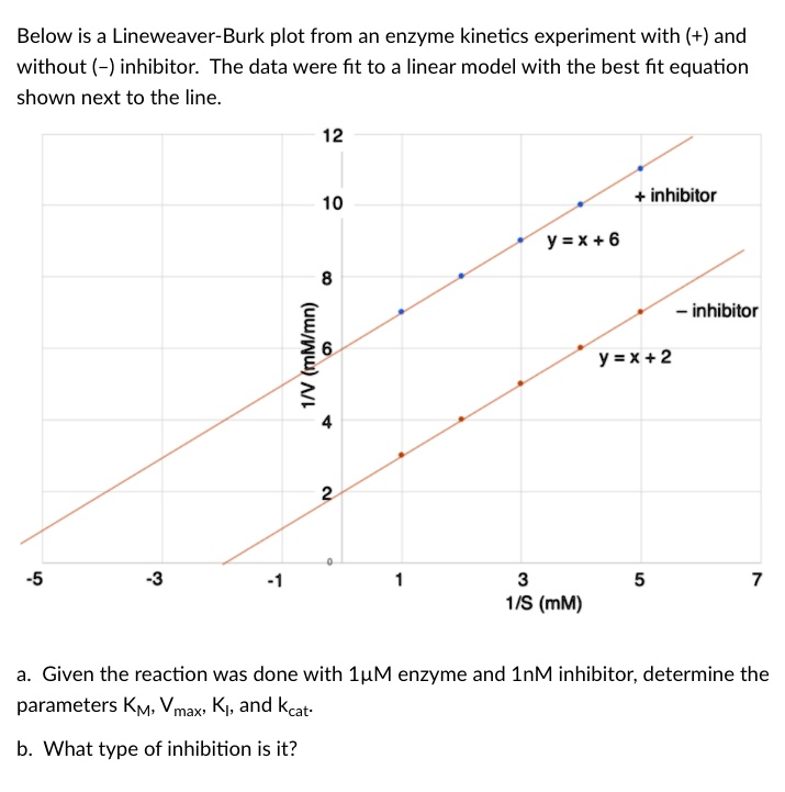 SOLVED:Below is a Lineweaver-Burk plot from an enzyme kinetics ...