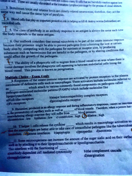 3. Botulinum toxin and tetanus toxin are closely related neurotoxins; therefore, they act the same way and cause the same type of paralysis.
4. Blood cells that play an important protective role in helping us kill     destroy worms (helminthes) are microfold cells.
5. The class of antibody in an antibody response to an antigen is always the same each time the body responds to the same antigen.
6. Our textbook considers these normal microbiota to be part of the innate immune response because their presence might be able to prevent pathogens from colonizing the host at certain body sites by competing with the pathogens for nutrients or receptor sites, by producing substances such as bacteriocins that are harmful to the pathogens, or by altering conditions that could affect the growth of the pathogens.
7. The ability of a phagocytic cell to migrate from a blood vessel to an area where there is tissue damage involves the phagocytic cell squeezing in between endothelial cells lining the blood vessel. This process is known as peregrination.
Multiple Choice – Exam 4 only
8. Responses of the innate immune response are activated by protein receptors in the plasma membrane of defensive cells such as macrophages. These activators include molecules referred to as  which attach to various commonly found components on pathogens called pathogen-associated molecular patterns (PAMPs) which include molecules like lipopolysaccharide.
a) Toll-like receptors b) major histocompatibility complex receptors
c) Fc receptors d) prostaglandin receptor
9. Histamine, produced in an allergy response and during inflammatory responses, causes an increase in the permeability of capillary walls as well as  of blood vessels. Therefore, when a person has an overwhelming allergy response they will suffer from  blood pressure.
a) constriction ; low b) dilation ; low c) constriction ; high d) dilation ; high
10. T helper 1 cells release the cytokine  which results in macrophage activation so that the macrophages are better able to take care of intracellular pathogens like the tuberculosis bacterium. a) gamma interferon b) apoptopin c) properdin d) serotonin
11. Some microorganisms can increase the amount of the sugar sialic acid on their surface such as by attaching it to their lipopolysaccharide or lipooligosaccharide. This interferes with the functioning of .
a) antibody-dependent cell mediated cytotoxicity b) the complement cascade
c) agglutination d) margination