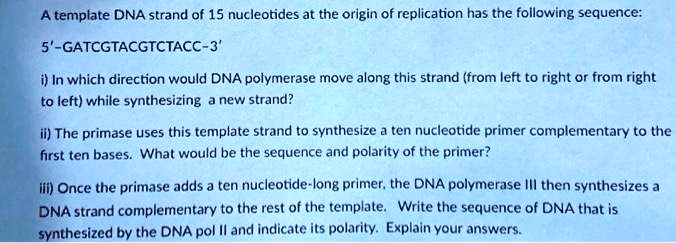 SOLVED: A template DNA strand of 15 nucleotides at the origin of