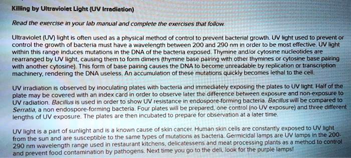 Killing by Ultraviolet Light (UV Irradiation)

Read the exercise in your lab manual and complete the exercises that follow.

Ultraviolet (UV) light is often used as a physical method of control to prevent bacterial growth. UV light used to prevent or control the growth of bacteria must have a wavelength between 200 and 290 nm in order to be most effective. UV light within this range induces mutations in the DNA of the bacteria exposed. Thymine and/or cytosine nucleotides are rearranged by UV light, causing them to form dimers (thymine base pairing with other thymines or cytosine base pairing with another cytosine). This form of base pairing causes the DNA to become unreadable by replication or transcription machinery, rendering the DNA useless. An accumulation of these mutations quickly becomes lethal to the cell.

UV irradiation is observed by inoculating plates with bacteria and immediately exposing the plates to UV light. Half of the plate may be covered with an index card in order to observe later the difference between exposure and non-exposure to UV radiation. Bacillus is used in order to show UV resistance in endospore-forming bacteria. Bacillus will be compared to Serratia, a non endospore-forming bacteria. Four plates will be prepared, one control (no UV exposure) and three different lengths of UV exposure. The plates are then incubated to prepare for observation at a later time.

UV light is a part of sunlight and is a known cause of skin cancer. Human skin cells are constantly exposed to UV light from the sun and are susceptible to the same types of mutations as bacteria. Germicidal lamps are UV lamps in the 200-290 nm wavelength range used in restaurant kitchens, delicatessens and meat processing plants as a method to control and prevent food contamination by pathogens. Next time you go to the deli, look for the purple lamps!