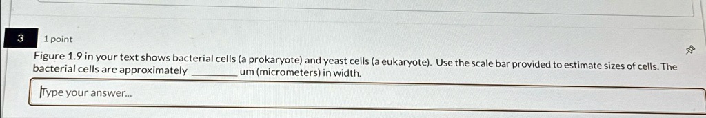 Figure 1.9 in your text shows bacterial cells (a prokaryote) and yeast cells (a eukaryote). Use the scale bar provided to estimate sizes of cells. The bacterial cells are approximately  um (micrometers) in width.