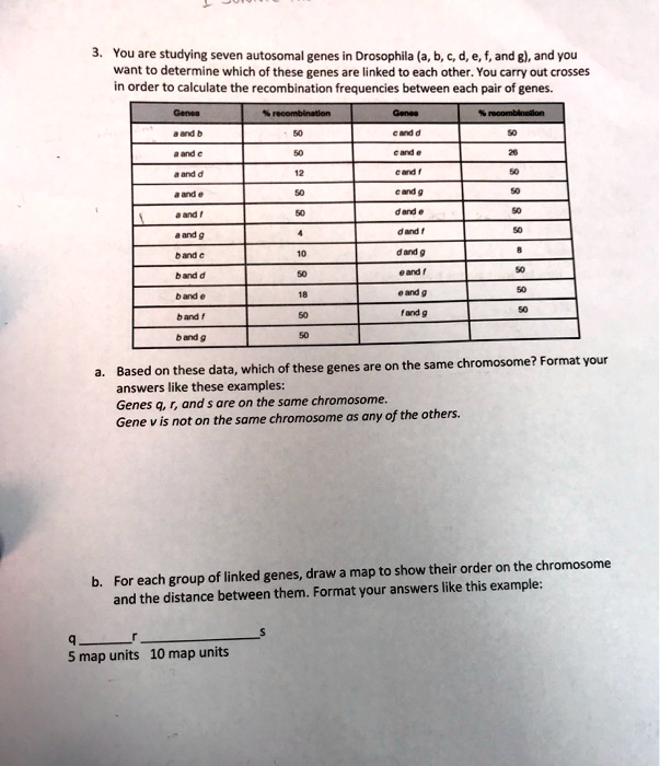 SOLVED You are studying seven autosomal genes in Drosophila and you