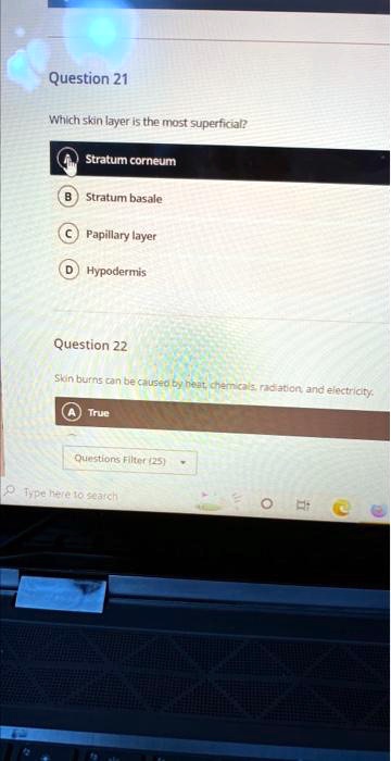 Question 21
Which skin layer is the most superficial?
Stratum corneum
Stratum basale
Papillary layer
Hypodermis
Question 22
Skin burns can be caused by heat, chemicals, radiation, and electricity.
True
