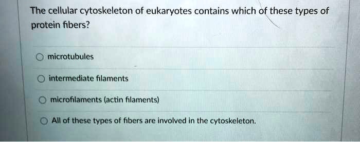 The cellular cytoskeleton of eukaryotes contains which of these types of protein fibers?
microtubules
intermediate filaments
microfilaments (actin filaments)
All of these types of fibers are involved in the cytoskeleton.