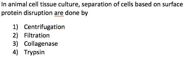 SOLVED: In animal cell tissue culture, separation of cells based on surface protein disruption are done by 1) Centrifugation 2) Filtration 3) Collagenase 4) Trypsin SOLVED: In animal cell tissue culture, separation of cells based on surface protein disruption are done by 1) Centrifugation 2) Filtration 3) Collagenase 4) Trypsin