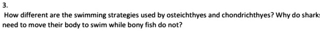 How different are the swimming strategies used by osteichthyes and chondrichthyes? Why do sharks need to move their body to swim while bony fish do not?