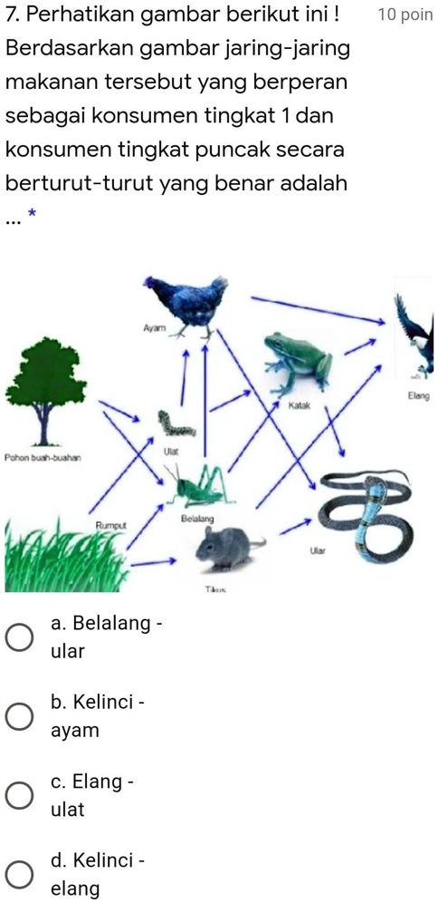 SOLVED: Bantuannya ya kawan kawan 7. Perhatikan gambar berikut ini 10 ...