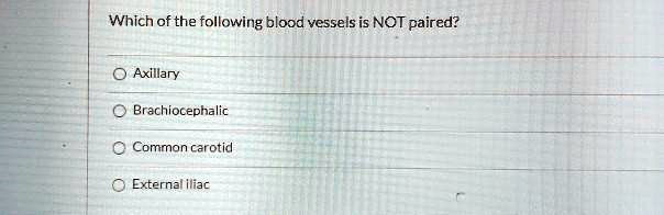 Which of the following blood vessels is NOT paired?

Axillary
Brachiocephalic
Common carotid
External iliac