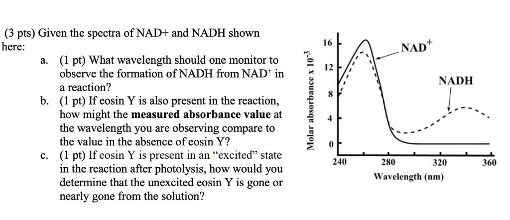 Solved 3 Pts Given The Spectra Of Nad And Nadh Shown Here Pt What Wavelength Should One Monitor To Observe The Formation Of Nadh From Nad In Reaction B 1 Pt If Eosin