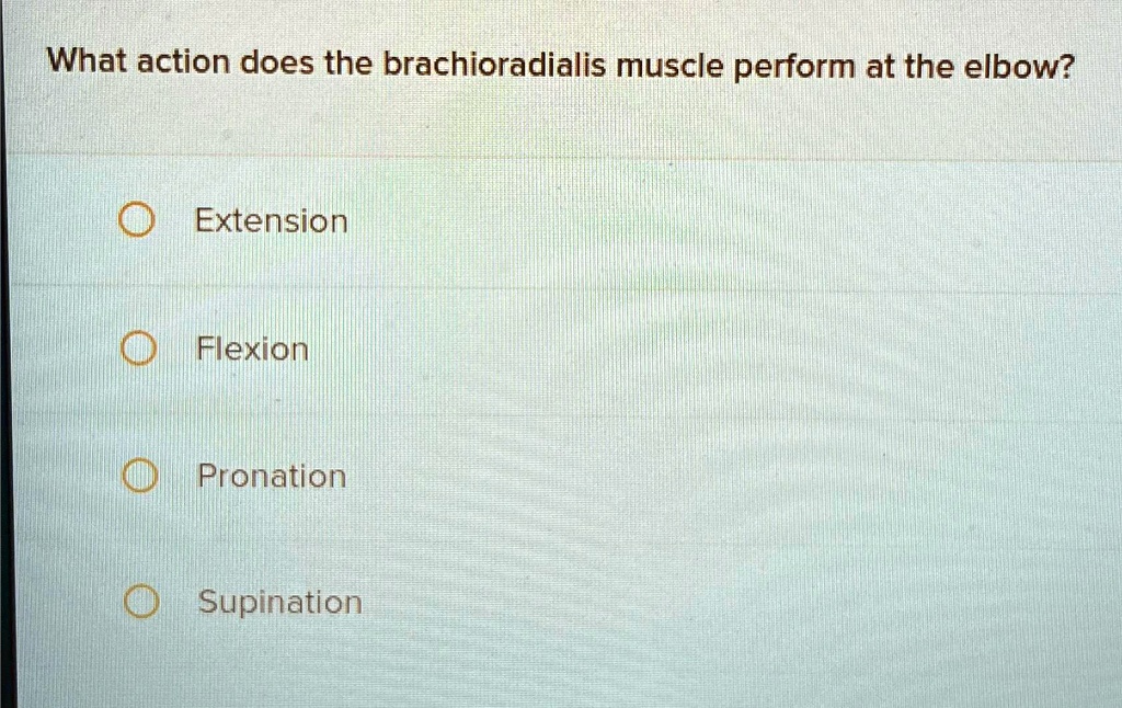 SOLVED What action does the brachioradialis muscle perform at the